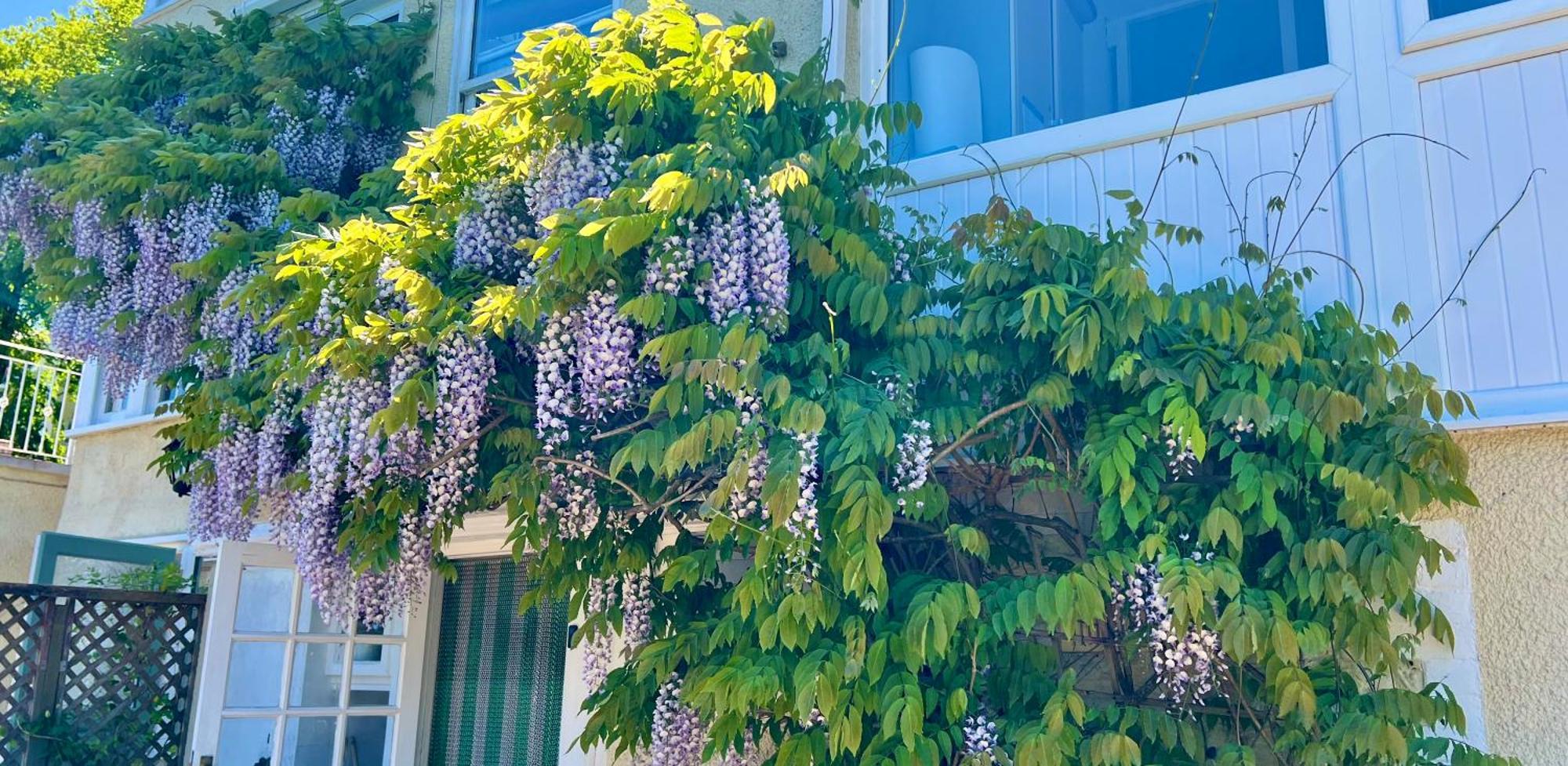 The Charterhouse Bed & Breakfast Torquay Bagian luar foto